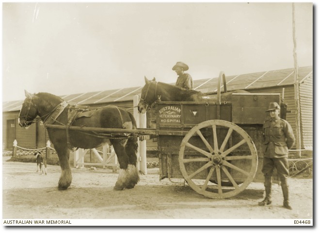 Horse float