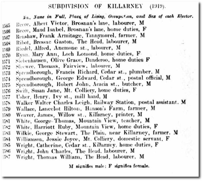 Queensland Electoral Roll, 1919